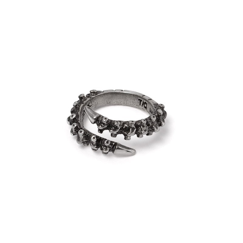 Spine Ring