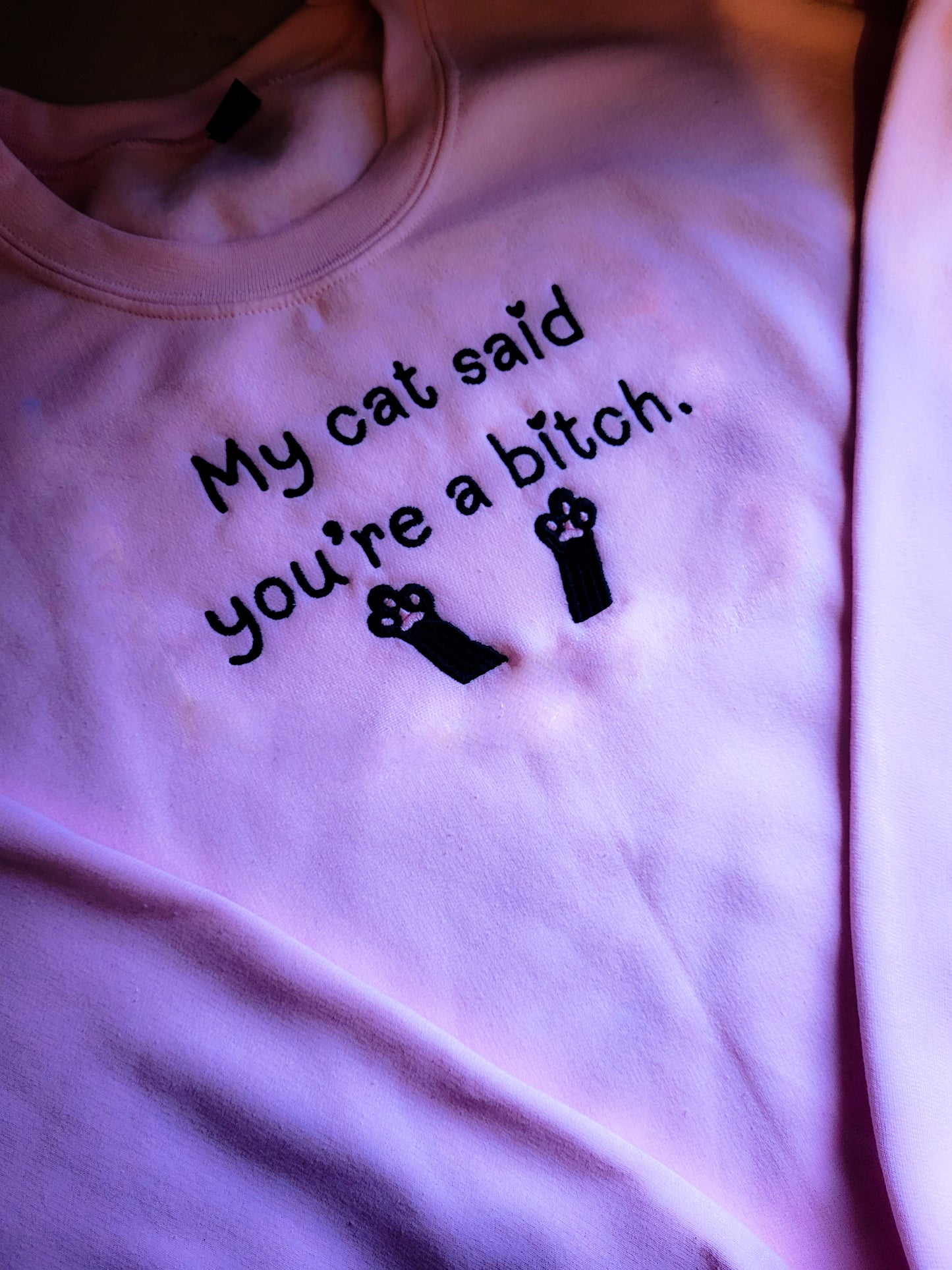 My Cat Said You're A Bitch Hoodie