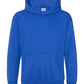 I'm Not Demure Hoodie